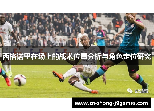 西格诺里在场上的战术位置分析与角色定位研究