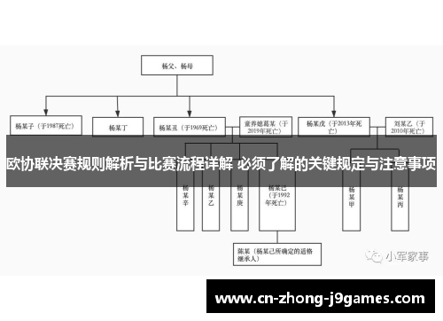 欧协联决赛规则解析与比赛流程详解 必须了解的关键规定与注意事项
