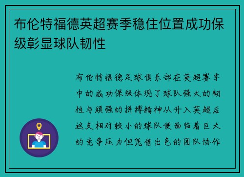 布伦特福德英超赛季稳住位置成功保级彰显球队韧性 布伦特福德英超赛季稳住位置成功保级彰显球队韧性